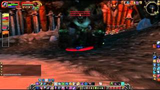 ▶ World of Warcraft  Gruuls Lair with Hengest amp Big C [upl. by Fatimah]