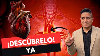 CORAZON✅ CINCO PROPIEDADES DE LA CÉLULA MIOCARDICA [upl. by Ennayrb]