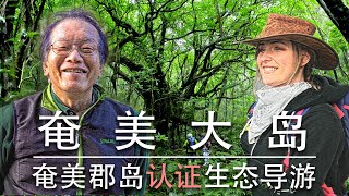 奄美大岛 神秘森林生态之旅  Eco tourism in Amami Oshima Island Chinese subtitles [upl. by Inna]