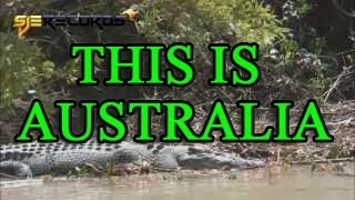 Official Video Didgeridoo Tin City RoyJMusic  Australia  Sydney Opera House  Kangaroo [upl. by Mathi]