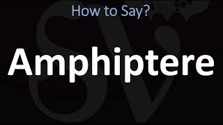 How to Pronounce Amphiptere CORRECTLY [upl. by Arraik]