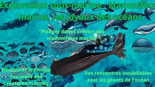 Plongée au cœur de locéan  Rencontre avec les stars des profondeurs  🌊🐋  Zoé amp Compagniequot [upl. by Dunc]