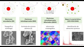 Microscopio electrónico de barrido  Scanning Electron Microscope SEM SE  BSE  EBSD  EDS [upl. by Gamages]