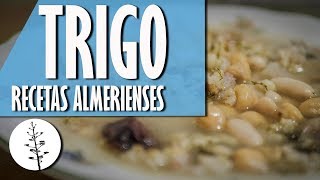 Receta TRIGO ALMERIENSE  Gastronomía Almería [upl. by Aynos704]