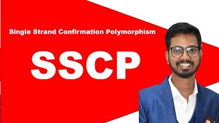 Single Strand Conformation Polymorphism  SSCP  SSCP Marker [upl. by Center]