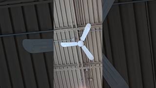 Revisiting some ceiling fans at the Plaza PointeClaire Shopping Centre in Montreal  June of 2024 [upl. by Liss991]