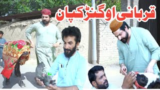 Qurbani Ao Gankapan Eid Special Funny Video By PK Plus Vines 2023pkplusvines pkvines [upl. by Evonne207]