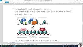 후생유전학적 유전epigenetic inheritance [upl. by Euqinot]