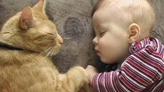 Cats Love Babies  PART 2 [upl. by Stalker]