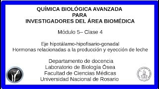 Hormonas sexuales qbsp5 4 [upl. by Diskin]