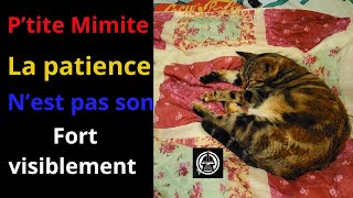 Ptite Mimite simpatiente [upl. by Adnirod]