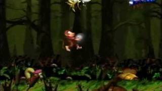 Donkey Kong Country 2  102 Walkthrough Part 14  Barrel Bayou [upl. by Vanthe377]