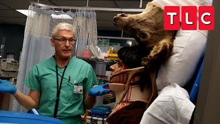 Craziest ER Cases  Untold Stories of the ER  TLC [upl. by Langille]