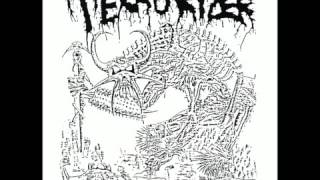 TERRORIZER  Demo 87 1987 [upl. by Nollaf302]