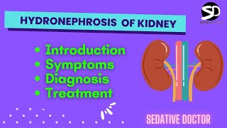 Hydronephrosis  Pelvicalyceal dilation  Treatment and Symptoms Sedative Doctor kidney [upl. by Amethyst313]