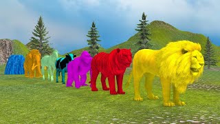 Long Slide Game With Elephant Gorilla Buffalo Hippopotamus Tiger  3d Animal Game  Funny 3d Animals [upl. by Palua]