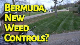 Bermuda Lawn Update  NEW HERBICIDE TECHNOLOGY [upl. by Uticas173]