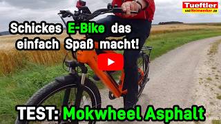 EBike Mokwheel Asphalt Test modernes Elektrofahrrad muss wirklich nicht teuer sein  Tueftler DIY [upl. by Surovy]