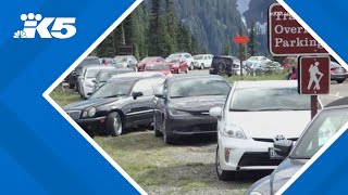 Timed entry at Mount Rainier National Park begins [upl. by Haberman]