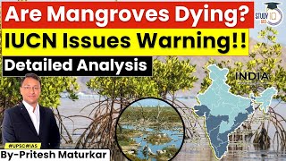 Mangroves Declared As Critically Endangered By IUCN  Geography in News  UPSC  StudyIQ IAS [upl. by Schurman]