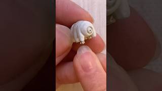 Silver Clay Tardigrade [upl. by Karas]