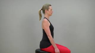 Scapular retraction sitting [upl. by Evannia64]