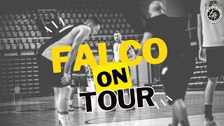 Falco On Tour  Olasz meló  1 nap [upl. by Chong]