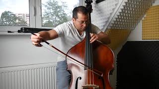 Dittersdorf Karl Double bass concerto 2nd movement [upl. by Prescott]