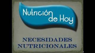 Necesidades Nutricionales [upl. by Oscar]