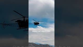 Cheetal helicopter helicopter helicoptershot trending youtube fighter iaf tranding jaihind [upl. by Negris113]