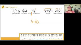 Tazria  Torah Portion Hebrew Study [upl. by Acinhoj537]