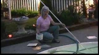 Removing Algae From a Swimming Pool  Cleaning Swimming Pool Skimmer Baskets [upl. by Baumbaugh341]