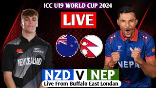 NEPAL u19 VS New Zeland ICC U19 WORLD CUP 2024 LIVE  NEP VS NZ LIVE MATCH WORLD CUP [upl. by Ellebyam]