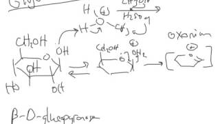 CHEM 407  Carbohydrate Chemistry  Methyl Glycoside Formation [upl. by Furtek]