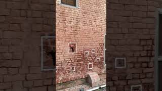 Jallianwala bagh jallianwalabagh travel punjabmotivation india bollywood song music [upl. by Sitsuj573]