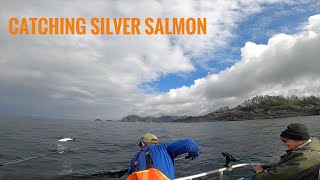 The Best Silver Salmon Fishing in Alaska  August 2022 [upl. by Yelyac206]