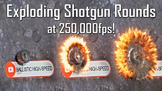 Exploding Shotgun Rounds at 250000FPS  Ballistic HighSpeed [upl. by Atteras]