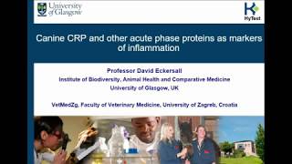 Canine CRP and Other Acute Phase Proteins as Markers of Inflammation [upl. by Sokil]