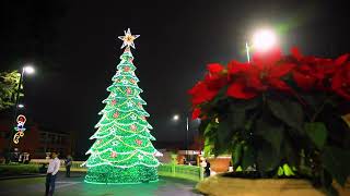 LLega la Navidad al Parque Juárez en Xalapa Veracruz [upl. by Leibarg]