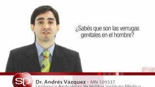 Verrugas genitales HPV en el hombre  Dr Andrés Vazquez [upl. by Kcirrem937]