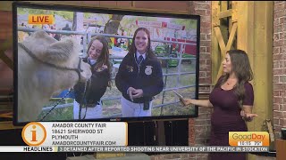 FFA Fun at the Amador County Fair [upl. by Etta]