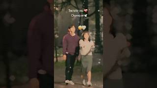 Kyu Dikhe mujhe Tu Sirhane Mere  Channa Ve Lofi Status shorts couplegoals trending [upl. by Nnaycnan]