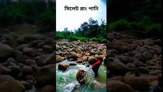 আমরা চলে এসেছি রাংপানি সিলেট। We have come to Rangpani Sylhet sylhettour jaflong foryou vlog [upl. by Aniras]