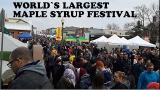 Glimpses of Worlds Largest Maple Syrup Festival  Elmira  2019 [upl. by Maribeth]