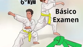 Examen para cinturón verde 6° Kyu  1 Parte Básico [upl. by Ahseit633]