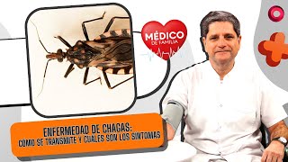 Enfermedad de Chagas cómo se transmite y cuáles son los síntomas  MedicoDeFamilia [upl. by Llehcear16]