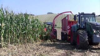 Pöttinger MEX 5 und JUMBO combiline im Maiseinsatz [upl. by Blondy99]