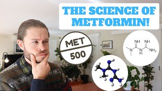 How Does Metformin Work [upl. by Wiatt]