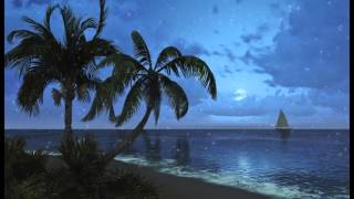 1 hour of Tropical Beach Sounds at night Relaxing sea waves to help sleep [upl. by Gaul]