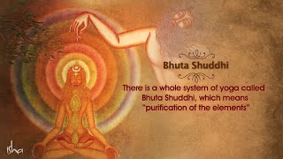 Bhuta Shuddhi  The Ultimate Cleansing  Isha Hata Yoga [upl. by Annael520]